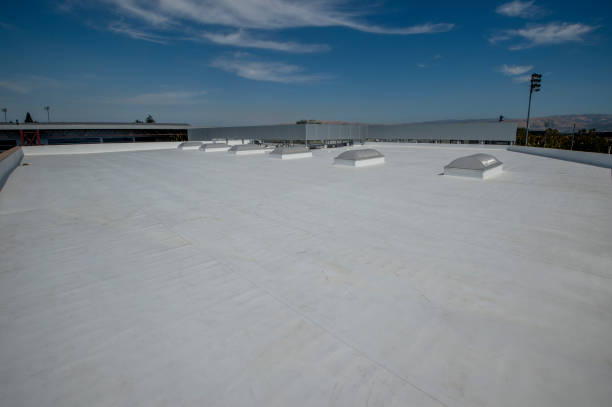 Best Gutter Replacement  in Perris, CA