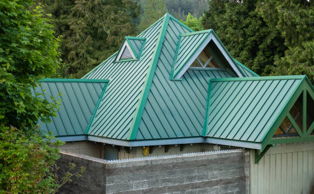 Best Roof Moss and Algae Removal  in Perris, CA