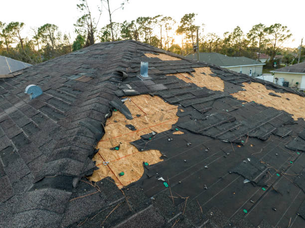 Best Roof Waterproofing  in Perris, CA